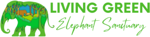 Living Green Elephant Sanctuary