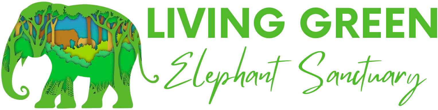 Living Green Elephant Sanctuary