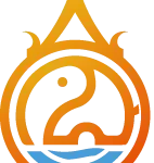 D2I Global